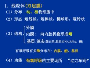 两个人合作制作AJ球鞋视频教程-详细步骤与技巧解析-第2张图片-佛山资讯网 两个人合作制作AJ球鞋视频教程-详细步骤与技巧解析-第2张图片-佛山资讯网