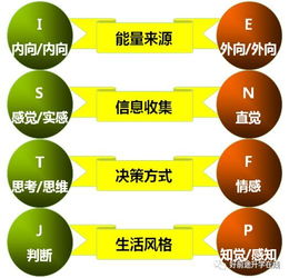 密室大逃脱第四季,在线观看指南-合法观看途径解析-第2张图片-佛山资讯网