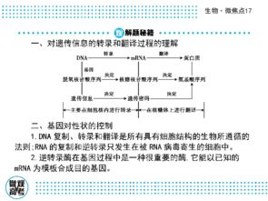 亲子沟通,理解孩子的情绪-有效沟通策略解析-第4张图片-佛山资讯网 亲子沟通,理解孩子的情绪-有效沟通策略解析-第4张图片-佛山资讯网
