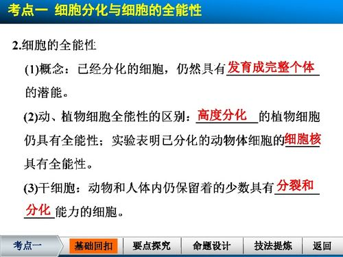 与君初相识电视剧免费观看全攻略-线上平台解析-第4张图片-佛山资讯网 与君初相识电视剧免费观看全攻略-线上平台解析-第4张图片-佛山资讯网