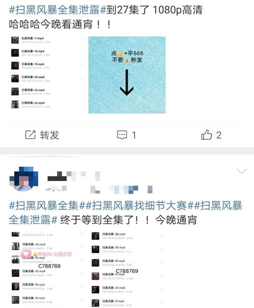 扫黑风暴,社会安定维护的关键-深度解析与策略分析-第2张图片-佛山资讯网 扫黑风暴,社会安定维护的关键-深度解析与策略分析-第2张图片-佛山资讯网