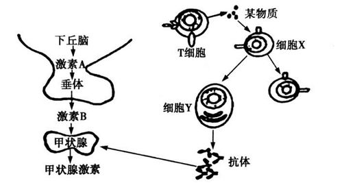 《花好月又圆》电视剧免费观看高清全攻略-第2张图片-佛山资讯网