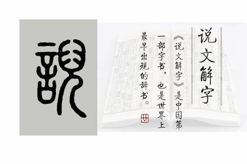 古代爱妾角色解析与文化意义-现代视角下的理解与欣赏-第2张图片-佛山资讯网