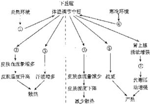 潮湿环境下体温调节,健康影响与应对策略-解决方案解析-第2张图片-佛山资讯网