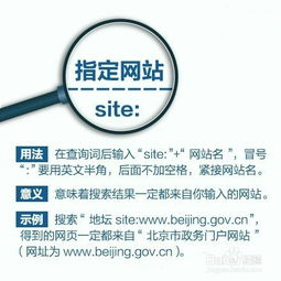 《妖精的尾巴》在线观看指南-最佳平台与观看技巧解析-第2张图片-佛山资讯网 《妖精的尾巴》在线观看指南-最佳平台与观看技巧解析-第2张图片-佛山资讯网