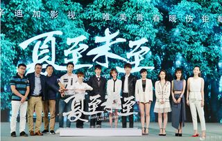 与凤行电视剧,免费观看全集完整版解析-合法途径与技巧分享-第3张图片-佛山资讯网