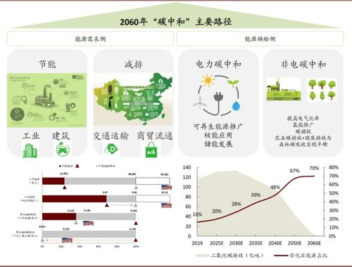 野性青春,勇敢追梦-成长之路解析-第4张图片-佛山资讯网 野性青春,勇敢追梦-成长之路解析-第4张图片-佛山资讯网