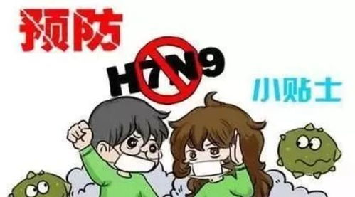 兄弟的女朋友相处之道-和谐相处的策略与建议-第3张图片-佛山资讯网