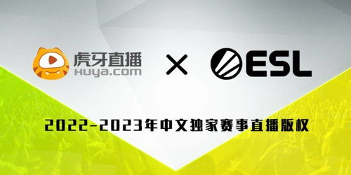中央CCTV5直播,体育赛事的实时享受-观看指南与优势分析-第1张图片-佛山资讯网