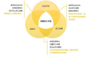 速度与激情HR成版：高效人力资源管理的策略与实践-第4张图片-佛山资讯网
