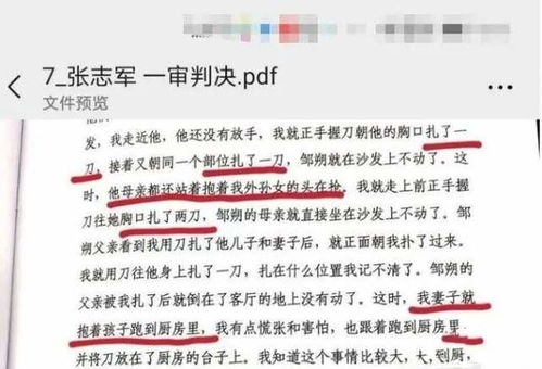 名侦探柯南国语版，悬疑解密-精彩剧情逐帧解析-第2张图片-佛山资讯网