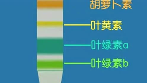 黄日华版《天龙八部》：经典重温与武侠情怀-深度解析-第4张图片-佛山资讯网