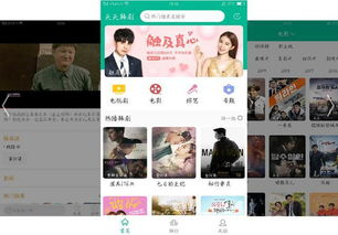 《卿卿日常》电视剧免费播放在线观看全攻略-第3张图片-佛山资讯网 《卿卿日常》电视剧免费播放在线观看全攻略-第3张图片-佛山资讯网