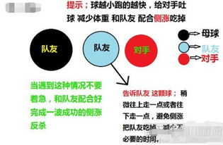 奥特曼格斗进化3,深入解析游戏技巧与魅力-格斗爱好者必备指南-第3张图片-佛山资讯网