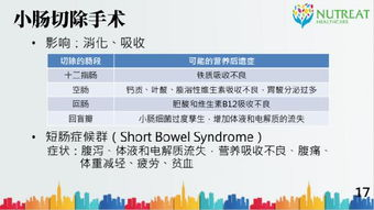 小学生高清电影免费观看指南与健康观影策略-第3张图片-佛山资讯网 小学生高清电影免费观看指南与健康观影策略-第3张图片-佛山资讯网