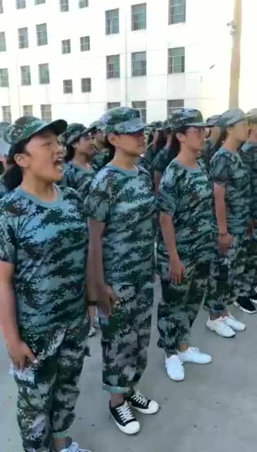报数技巧与应用解析-提升团队协作与效率-第2张图片-佛山资讯网