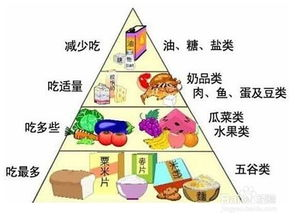 健康饮食与营养均衡,减肥食谱解析-打造理想体型-第1张图片-佛山资讯网
