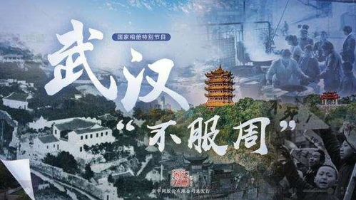 我和我的祖国：深厚的情感纽带-共同成长的故事-第1张图片-佛山资讯网