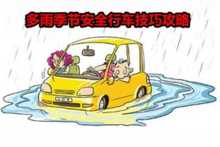 致命弯道,山路行车安全-驾驶预防措施解析-第3张图片-佛山资讯网