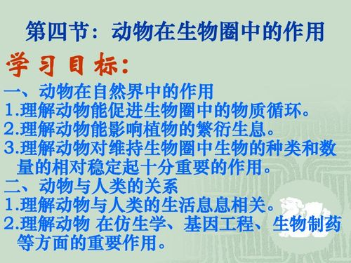 美国往事,历史与文化的交织-经典电影深度解析-第4张图片-佛山资讯网
