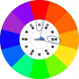 华丽的外出,时尚穿搭解决方案解析-第2张图片-佛山资讯网 华丽的外出,时尚穿搭解决方案解析-第2张图片-佛山资讯网