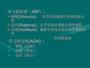 我是特种兵之火凤凰, 特种部队生活全景解析-极限挑战与精神传承-第4张图片-佛山资讯网 我是特种兵之火凤凰, 特种部队生活全景解析-极限挑战与精神传承-第4张图片-佛山资讯网