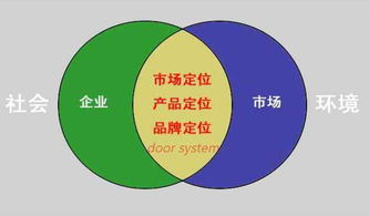 战狼2票房奇迹,现象级电影背后的市场策略与产业启示-第3张图片-佛山资讯网 战狼2票房奇迹,现象级电影背后的市场策略与产业启示-第3张图片-佛山资讯网