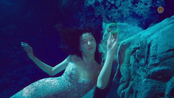 美人鱼传说与文化象征-探寻神秘海洋生物的奥秘-第3张图片-佛山资讯网