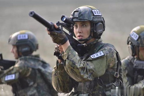 特种兵之火凤凰,军事题材影视作品解析-特种兵精神内涵解读-第1张图片-佛山资讯网 特种兵之火凤凰,军事题材影视作品解析-特种兵精神内涵解读-第1张图片-佛山资讯网