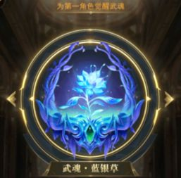 斗罗大陆:奇幻世界的探索与角色成长-小说深度解析-第4张图片-佛山资讯网 斗罗大陆:奇幻世界的探索与角色成长-小说深度解析-第4张图片-佛山资讯网