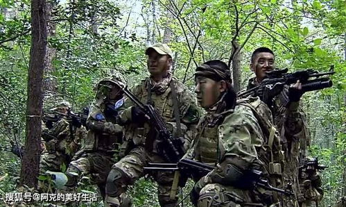 特种兵,特殊训练与技能掌握-现代战争中的精英力量解析-第3张图片-佛山资讯网 特种兵,特殊训练与技能掌握-现代战争中的精英力量解析-第3张图片-佛山资讯网
