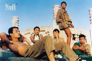 经典爱情电影推荐，温暖心灵的爱情故事精选-第4张图片-佛山资讯网