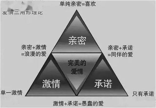 爱情心理学理论解析与应用-情感深处的科学探索-第2张图片-佛山资讯网 爱情心理学理论解析与应用-情感深处的科学探索-第2张图片-佛山资讯网