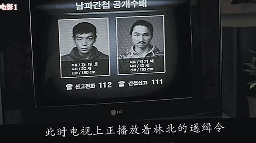 26岁女房客, 动漫在线观看 - 深度剧情解读与观看指南-第3张图片-佛山资讯网 26岁女房客, 动漫在线观看 - 深度剧情解读与观看指南-第3张图片-佛山资讯网