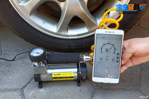 合法观看中央电视台全部频道,在线直播与点播解决方案解析-第1张图片-佛山资讯网