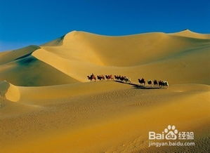 一路向北完整版免费观看:自驾游探险之旅-第3张图片-佛山资讯网 一路向北完整版免费观看:自驾游探险之旅-第3张图片-佛山资讯网