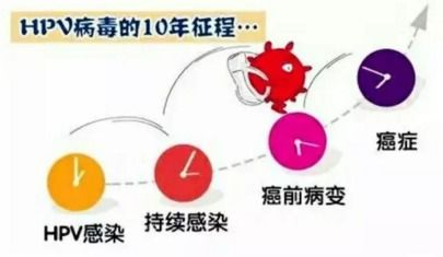 女性用嘴巴吃鸡与HPV感染风险解析-第4张图片-佛山资讯网
