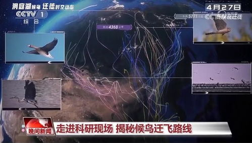 打造顶级军统谍战片，深度剖析历史与悬疑-影视创作新思路-第3张图片-佛山资讯网