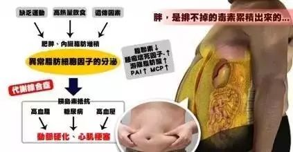 健康饮食建议,打造健康生活-饮食习惯解析-第4张图片-佛山资讯网