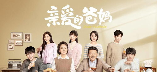 欧美家庭剧推荐,增进夫妻情感-温馨剧情解析-第1张图片-佛山资讯网 欧美家庭剧推荐,增进夫妻情感-温馨剧情解析-第1张图片-佛山资讯网