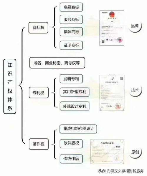 电视剧全集免费观看技巧与合法途径解析-第1张图片-佛山资讯网
