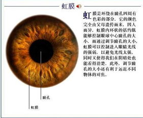 科学护眼方法，看强-视力保健技巧解析-第1张图片-佛山资讯网