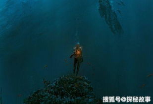 君临三千世界,探寻奇幻帝国的秘密-神秘文明解析-第4张图片-佛山资讯网 君临三千世界,探寻奇幻帝国的秘密-神秘文明解析-第4张图片-佛山资讯网