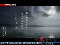 月夜影视高清完整版在线观看,享受影院级观影体验-第1张图片-佛山资讯网 月夜影视高清完整版在线观看,享受影院级观影体验-第1张图片-佛山资讯网
