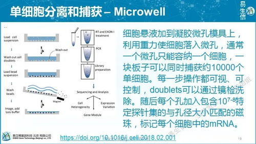我的漂亮的瘦子4,健康瘦身秘诀-打造完美身材解析-第1张图片-佛山资讯网 我的漂亮的瘦子4,健康瘦身秘诀-打造完美身材解析-第1张图片-佛山资讯网