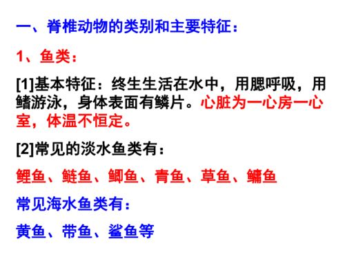 危险关系,人际交往困境-解决之道深度解析-第2张图片-佛山资讯网