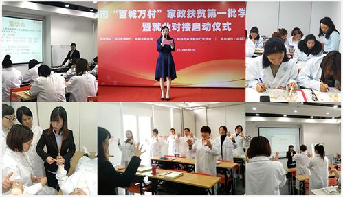 高级保姆服务特点与职业要求-如何挑选合适的专业人才-第4张图片-佛山资讯网 高级保姆服务特点与职业要求-如何挑选合适的专业人才-第4张图片-佛山资讯网