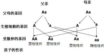 日本出线未如愿,竞技体育的挑战与反思-解决方案解析-第3张图片-佛山资讯网 日本出线未如愿,竞技体育的挑战与反思-解决方案解析-第3张图片-佛山资讯网