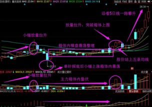 2019年智能手机中文字幕功能解析-提升观影体验与无障碍支持-第1张图片-佛山资讯网