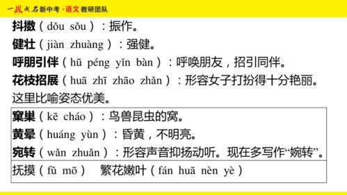 最新中文字幕视频搜索指南-快速找到热门资源-第2张图片-佛山资讯网 最新中文字幕视频搜索指南-快速找到热门资源-第2张图片-佛山资讯网